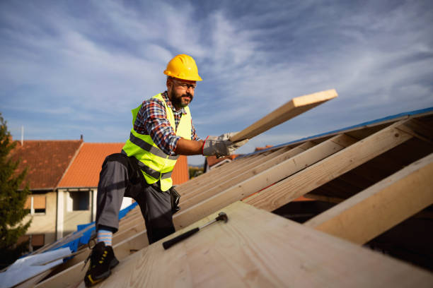 Best Emergency Roof Repair Services  in Citrus Park, AZ